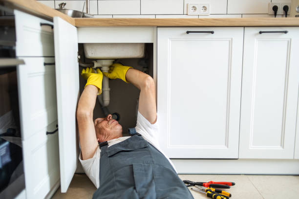 Best Sewer Line Repair  in Lincolnshire, IL