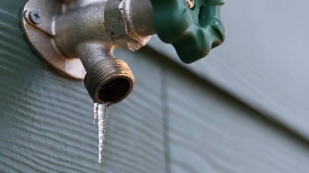 Best Plumbing Services Near Me  in Lincolnshire, IL